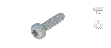 Screws for Plastic, Pan head with TX-drive, WN5452 / WN1452, STP 39