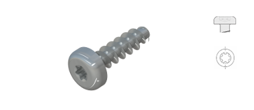 Винты для пластмассы, Винт с линзообразной цилиндрической головкой с внутренним приводом Торкс, WN1452, STP 39 A